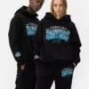 Φούτερ με κουκούλα και λογότυπο των Carolina Panthers της NFL