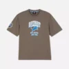 Πουκάμισο με το λογότυπο των Detroit Lions της NFL