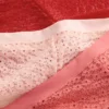 Σετ 3 βραζιλιάνικων σλιπ με δαντέλα σε όλη την επιφάνεια